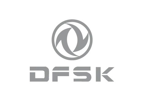 Dfsk